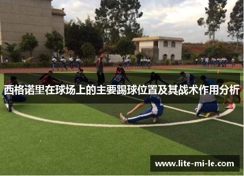 西格诺里在球场上的主要踢球位置及其战术作用分析 西格诺里在球场上的主要踢球位置及其战术作用分析