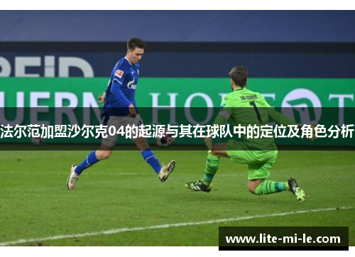 法尔范加盟沙尔克04的起源与其在球队中的定位及角色分析