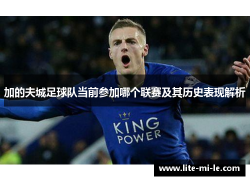 加的夫城足球队当前参加哪个联赛及其历史表现解析