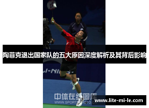 陶菲克退出国家队的五大原因深度解析及其背后影响