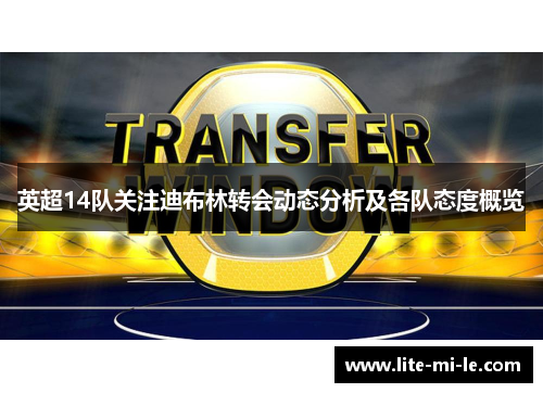 英超14队关注迪布林转会动态分析及各队态度概览