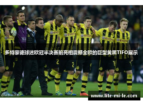 多特蒙德球迷欧冠半决赛前亮相震撼全欧的巨型黄黑TIFO展示