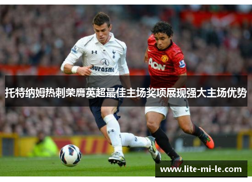 托特纳姆热刺荣膺英超最佳主场奖项展现强大主场优势 托特纳姆热刺荣膺英超最佳主场奖项展现强大主场优势