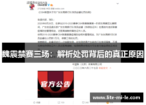魏震禁赛三场：解析处罚背后的真正原因